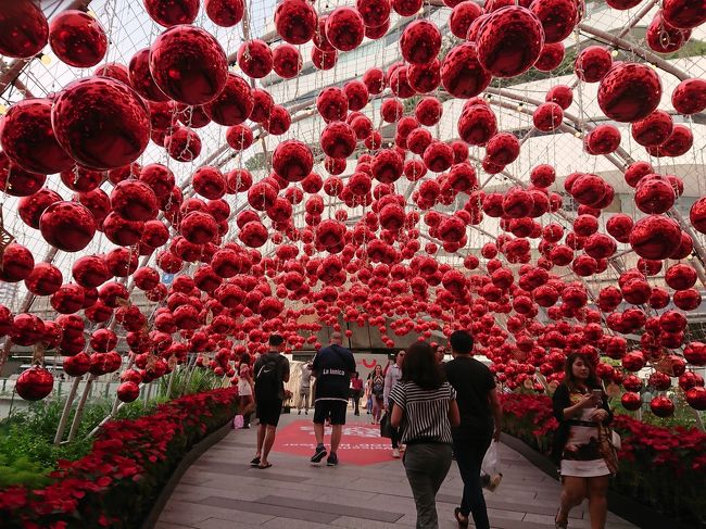 駅を繋ぐ通路。立ち止まって写真を撮る人が多いです。<br />