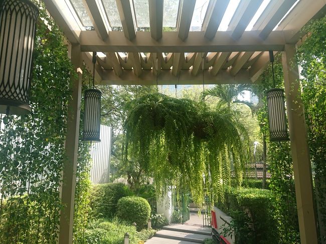 緑が多くて素敵。