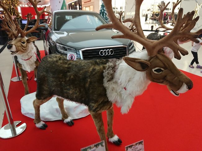 気味悪く動くトナカイ。