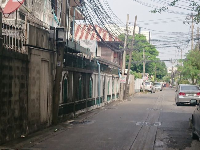 のんびりした雰囲気です。