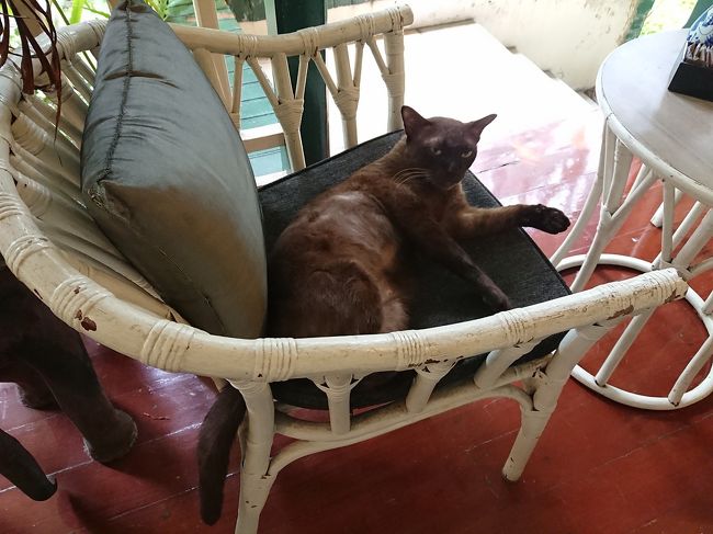 先に座っていらっしゃる方が。