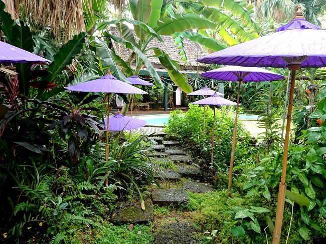 緑に紫が映えます。