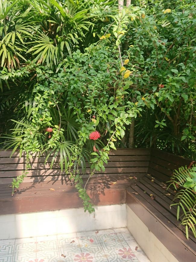 床のタイルとマッチしてませんか？