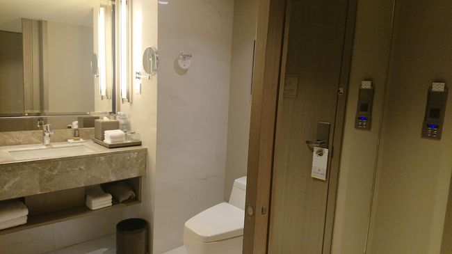 バスタブはないお部屋でした。