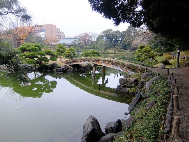 清澄庭園は三菱財閥・岩崎家が築いた回遊式庭園で,各地からの奇石・名石が特徴的.近くの深川江戸資料館にも行った.