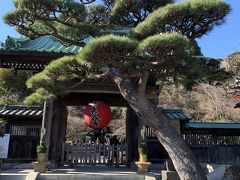 鎌倉大仏から歩いて7～8分のところにある長谷寺