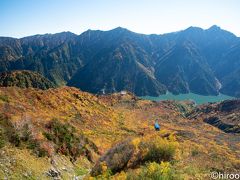 時間があったので、ケーブルカーで大観峰に向かいました。こちらは、紅葉真っ盛り。
先日、NHKの日本百名山の番組で、秋に立山を縦走してから、黒部湖に降りるルートを紹介していましたが、紅葉の時期にはそれが穴場のようです。迷いそうなので、ガイドさんが必要ですが・・・