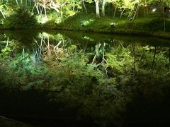 鏡のような水面