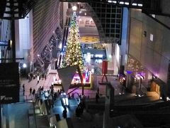 京都駅へ行き巨大クリスマスツリーと京都駅の空中回廊を散策しホテルへ戻る

貴船の紅葉はすでに終わった感じで、
洛北は紅葉初めで、これから見頃を迎えるといった感じだった