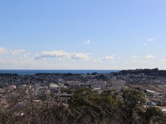 新宮城から見た新宮市の町並みです。
太平洋も見えます。