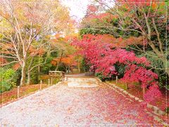 まずは龍安寺へ。
すぐ近くまで行けるバスで行きました。