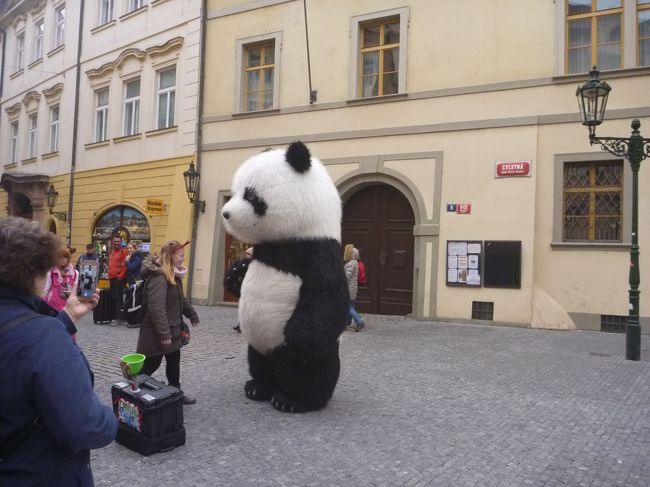 ボタ二クスから出てきたところにいた、パンダのパフォーマー。<br /><br />皆さん一緒に写真を撮るようで、お待ちも出ているほど人気がありました。<br /><br />パンダって、珍しいのかなぁ～？