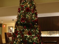 ニューアークに到着し、荷物をピックアップしたのち、ホテルまでのシャトルバスに乗車し今夜のお宿へ。
ロビーでは立派なクリスマスツリーが出迎えてくれた。
