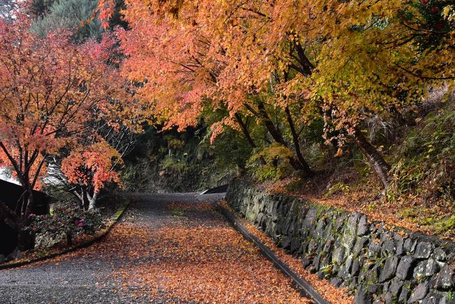 南房総の小松寺紅葉と馬乗り観音 燈籠坂大師の切通しトンネル 18 千葉 千倉 千葉県 の旅行記 ブログ By かっちんさん フォートラベル