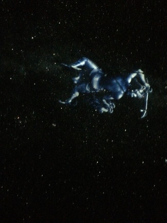 何の星か当てたりしながらしばし楽しみました。