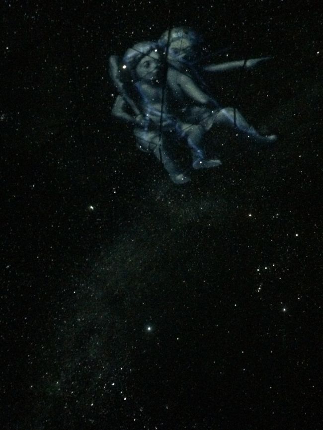 プラネタリウム。<br />こちらは立ちながら、特にガイドさんがいるわけではなく自分たちで上を見上げて次々変わっていく星空を楽しむスタイル。