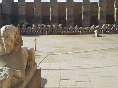 最初にナイル川東岸にあるエジプト最大の神殿、カルナック神殿へ。約3500年前アメン神の神殿として建てられたもので