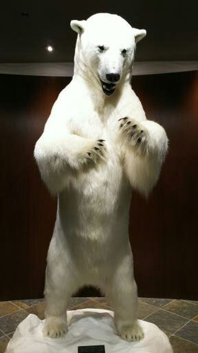 ロビーのすみのシロクマ君もさようなら。<br />