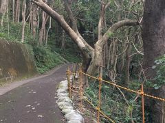 ■おがみ山■ 12:30
最初のあたり。