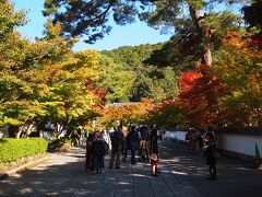 午後一番で向かったのは永観堂。
京都の中でも割と早く紅葉が見られるようです。入り口はほんのり色づいてます。