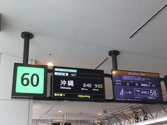 飛行機での移動