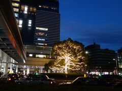 イルミがきれい。