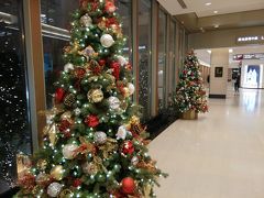 MTRで尖沙咀駅から中環へ。まだ元日はクリスマスの飾り付けでした。