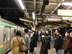 小田原駅から
帰りは新幹線ではなく
湘南新宿ラインで帰途につきました。