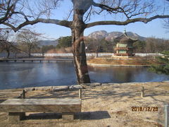 国立民俗博物館から北の神武門を目指します　途中の景色
池は凍っていました
只今整備中です
