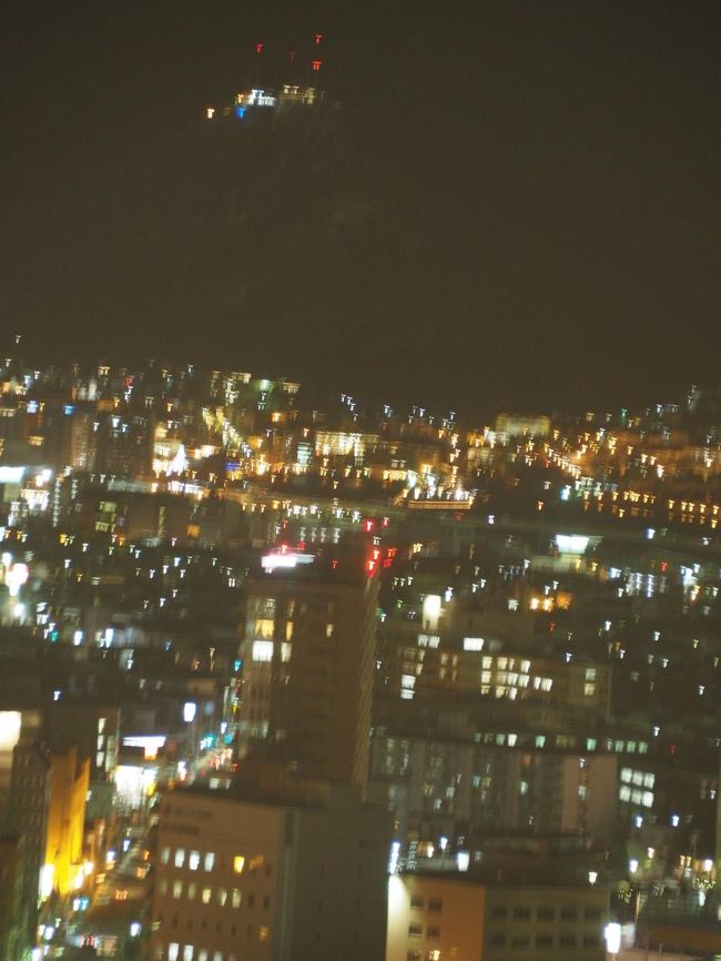 ちょっとぼけてますが、タワーからみた函館の街と函館山の灯り（ちょっと上の灯り）。