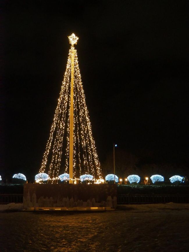 五稜郭公園の入り口にもツリーがあったので行ってみましたが、ここも雪でつるっつるっ！カメラを持っているので、転ばないようにゆーっくり歩くしかありません。