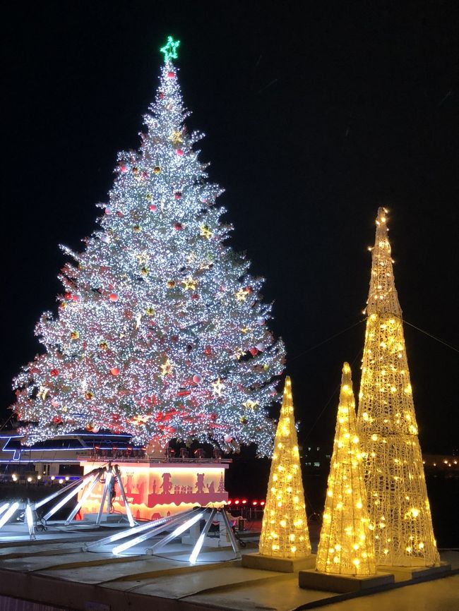 これが函館クリスマスファンタジーのメイン。<br />函館市と姉妹都市の、カナダ　ハリファックスから送られてくるツリーにデコレーションしているそうです。<br />毎年、見事です。