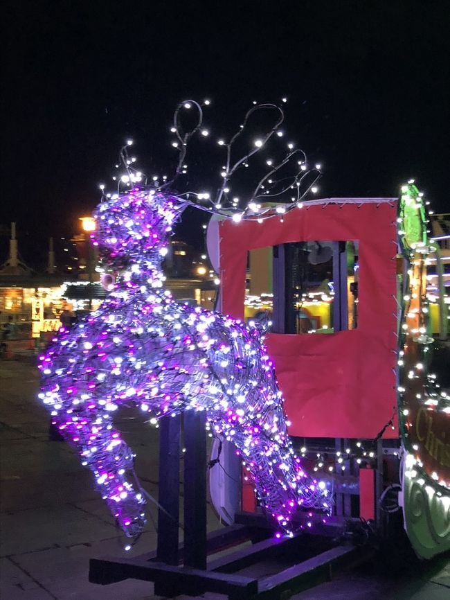 ７時ぐらいになると、ツリーの前においてある、トナカイとサンタのそり？が移動します。なんか不思議です（笑）