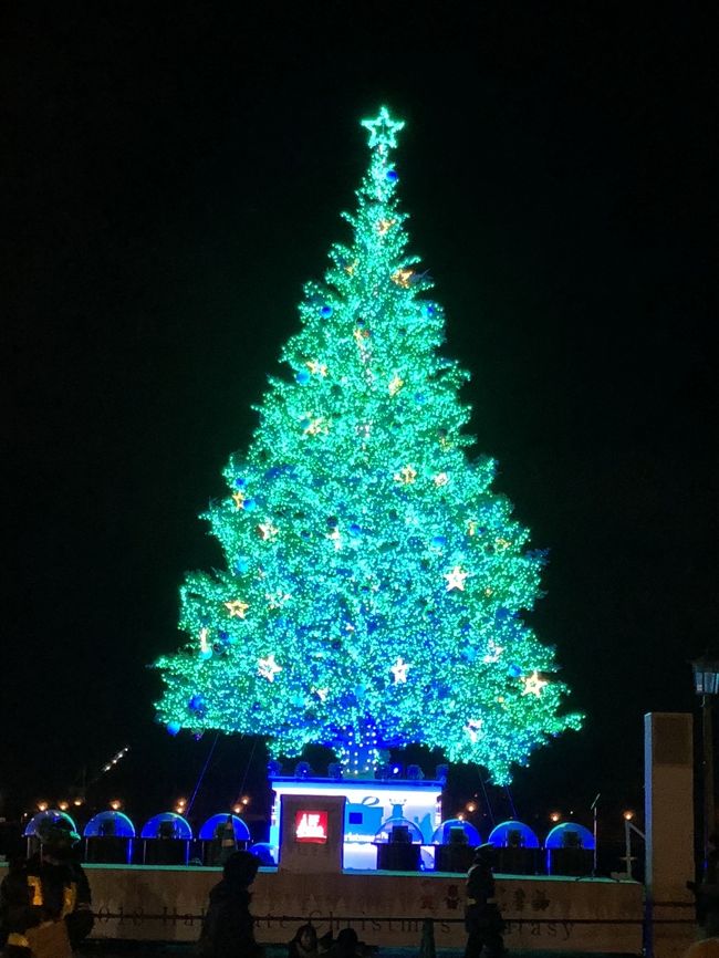 正面からみたツリー。いろんな色に変わります。何枚撮ってもきりがありません。