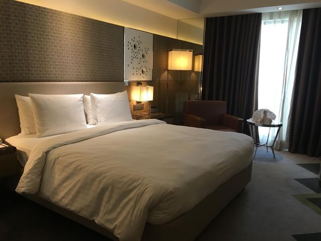 仕方がなく、正規タクシーでホテルまで。600ルピー。（１日使って1000でいいよといっていたけれど、煩わしいし、待たれるの嫌いなのでお断りする。）<br /><br />ホテルはマリオット。快適♪<br />