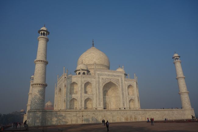 違う角度から。