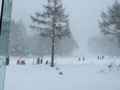 1/3、朝から雪です。奥志賀まで行きましたが、焼額山の西館イーストダイニングで昼食です。そこからの景色です。