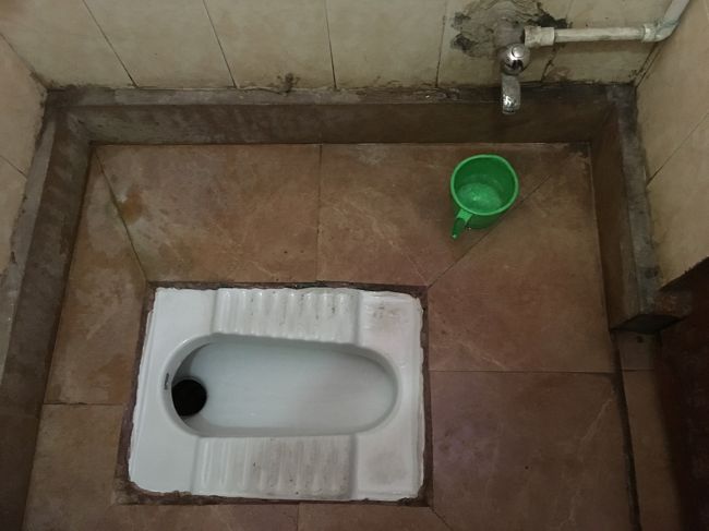 食事中の方、お気をつけあれ。<br />アグラ城のトイレの写真です。<br /><br />トイレについてですが、私はトイレットペーパー（芯を抜いて）、厚めのティッシュ（要は、香港好きはご存知tempo）、百均の除菌ティッシュ、S字フックを常に持ち歩き。<br />リュックを引っかける場所のないところでは、S字フックを活用。<br />また、外国人向けの大体のところにはトイレットペーパーがあるので、それで済ませますが、時折、ティッシュを捨てる場所のない、写真のような完全インド仕様トイレがあります。そういう場合は、流せるティッシュを使ったような気がする…。