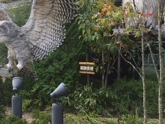 釧路空港へ戻ってきました。　　
見残した名所、食べたかった海鮮　いっぱいいっぱい心残りです。