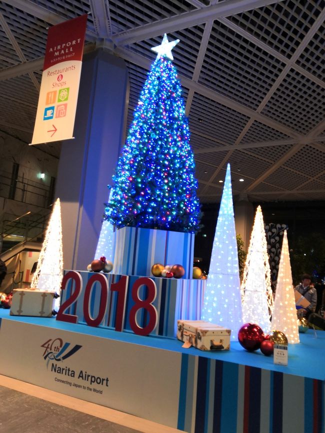 クリスマスのデコレーションがお見事です。