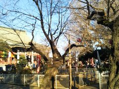 ☆初めて訪れる千葉寺とやらはお寺と神社が同居する？一石二鳥かな～

☆本殿には参拝者の列が長いので、横の板東33カ所霊場中29番目に当たるお堂へ！