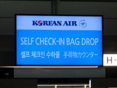 ウズベキスタン（タシケント空港）へは大韓航空で。
羽田→金浦/仁川→タシケント。
金浦でいったん韓国に入国し、仁川まで自力移動しなきゃ行けない航空券を押さえちゃった。
だから安かったのね！