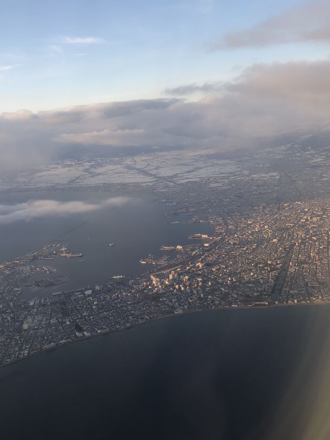 帰りの飛行機は窓際。左したのほうがうろうろしていたエリアです。<br />夕方には羽田につきます。
