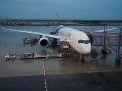 ●TG622便＠関西国際空港

定刻通り関空に到着しました。
雨の関空です。
旅も終わりです。

想像以上に良かったカンボジア。
何より、食べ物が合いました！
また機会があれば、カンボジアのリゾート、シアヌークビルなんていいかも。

