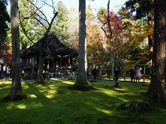 ●三千院

やっぱり三千院は庭が美しいなと思うと同時に、観光客が非常に多いです。
京都の中心部から離れていますが、外国人観光客も非常に多かったです。
皆、一眼レフで、パシャパシャ撮影されていました。
