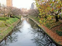 富山城付近を流れる松川。富山城はかつて富山城下を曲がりくねりながら流れていた神通川の天然の要害に守られた城だったが、この松川もそのうちの一つだったのかもしれない。松川は神通川と並走している箇所もあるのでてっきり神通川から引き込まれたのかと思いきや、繋がっていないのだとか。
川岸にはソメイヨシノが植えられているので桜の時期はとてもきれいなのだろう。