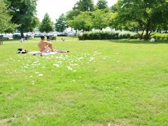 町の南にあるカイヴォプイスト公園までやってきます。

裸の男性が日光浴。
辺りになにやら白いふわふわが・・・・？

