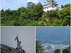 途中、郡上八幡を通過することがわかり、少しだけ寄り道することに。

かなりの山の上にあるのは、郡上八幡城。

こちら天守閣近くまで車で行けますが狭くてかなりの急勾配なので、運転に自信ない方や大きな車の場合はお勧めしません。特に帰りは怖いかも。

ちなみに駐車場は無料ですが、数台分だけです。

時間の関係で天守閣には登りませんでしたが、それでも結構な高さのためはるか眼下に街を見下ろすという感じでした。