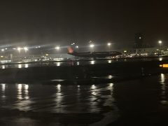 21:05、定刻よりやや早く桃園国際空港へ到着。

小雨模様です。