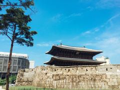 腹ごなしに東大門まで散歩。
やっと工事が終わって綺麗な姿になりました。